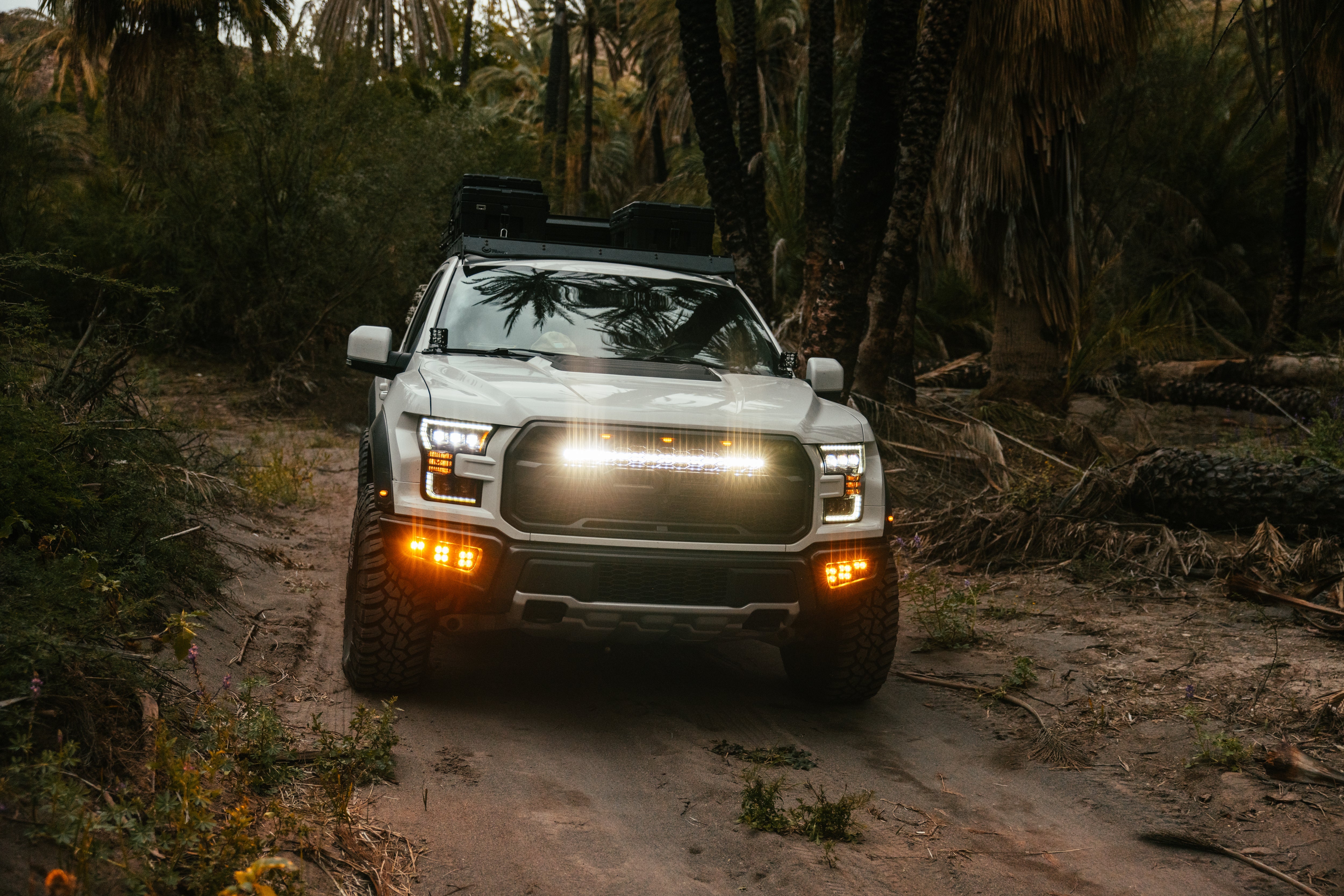 Ford F150 Raptor (2017-2021) - Behind The Grille 30" LED Light Bar - Clear Lens